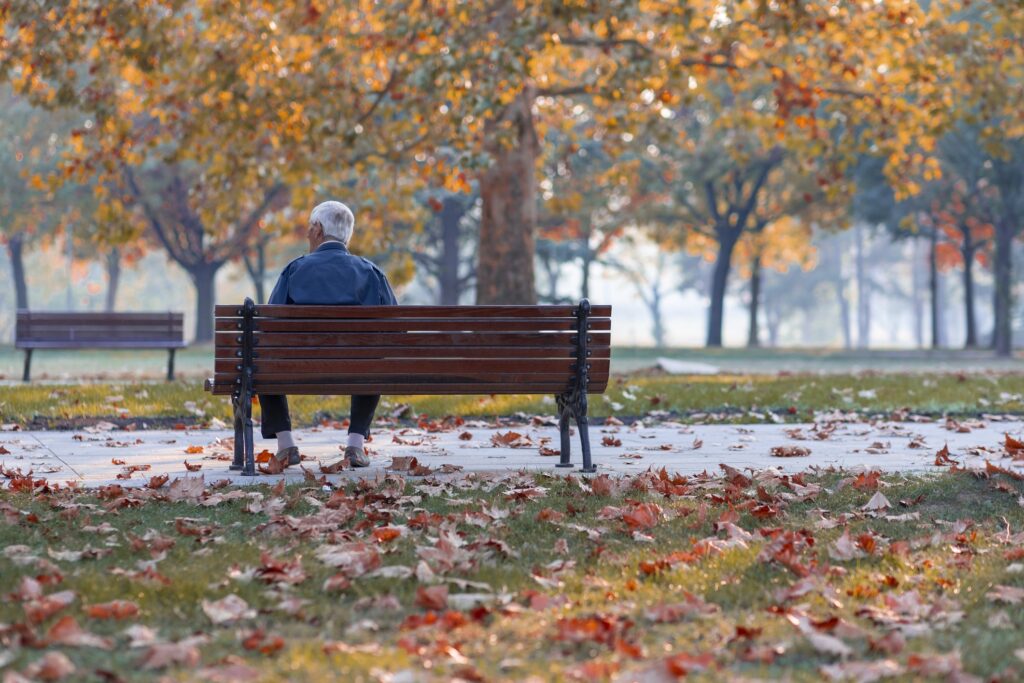 An elderly person sits alone on a park bench thinking about how masshealth can protect his spouse;, surrounded by fallen autumn leaves on the grass, with trees displaying orange foliage in the background. The scene appears peaceful and contemplative.